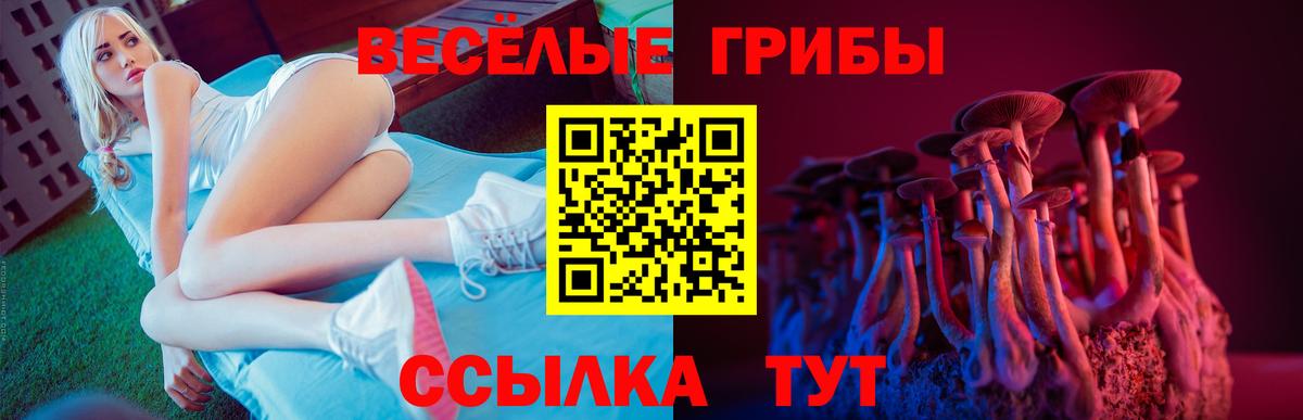 Берёзовский  Псилоцибиновые грибы Cubensis  Галлюциногенные грибы Cubensis  Вход с VPN 